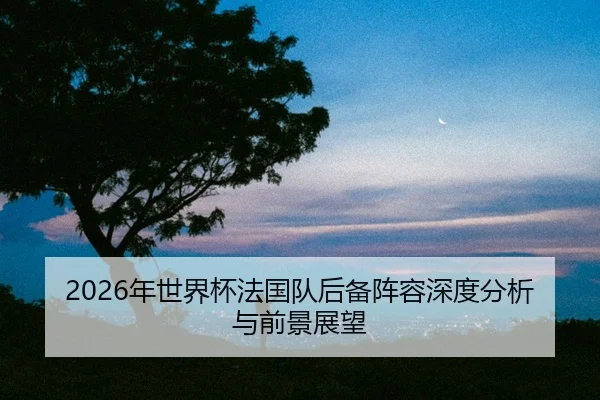 nian-shi-jie-bei-fa-guo-dui-hou-bei-zhen-rong-shen-du-fen-xi-yu-qian-jing-zhan-wang-2-898.jpg