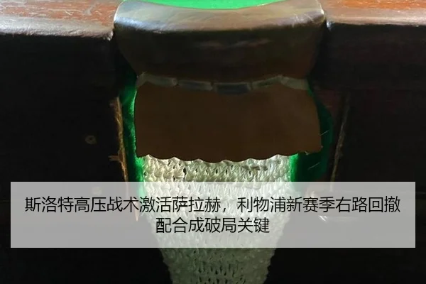 si-luo-te-gao-ya-zhan-shu-ji-huo-sa-la-he-li-wu-pu-xin-sai-ji-you-lu-hui-che-pei-he-cheng-po-ju-guan-jian-2-227.jpg